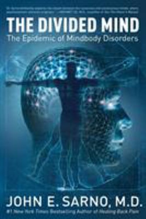The Divided Mind : The Epidemic of Mindbody Disorders Paperback J