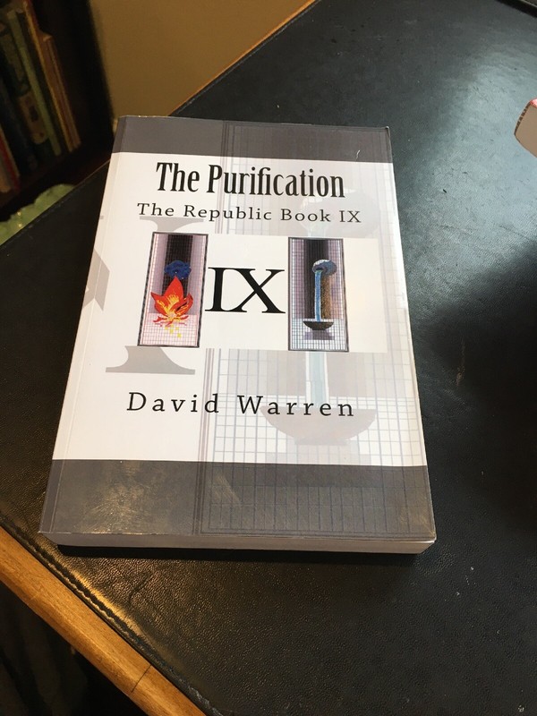 THE PURIFICATION : THE REPUBLIC BOOK IX, 142-141 BC David Warren 2015 pb 1st
