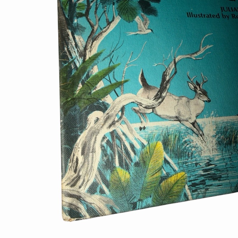 Vintage 1973 Islands of the Tiny Deer Julian May Rod Ruth Hardcover Ex Library gallery