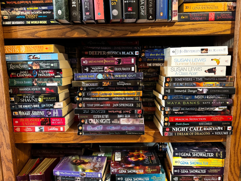 LOT OF 10 PAPERBACKS ROMANCE SUSPENSE THRILLER ACTION PARANORMAL NICE ASSORTMENT gallery