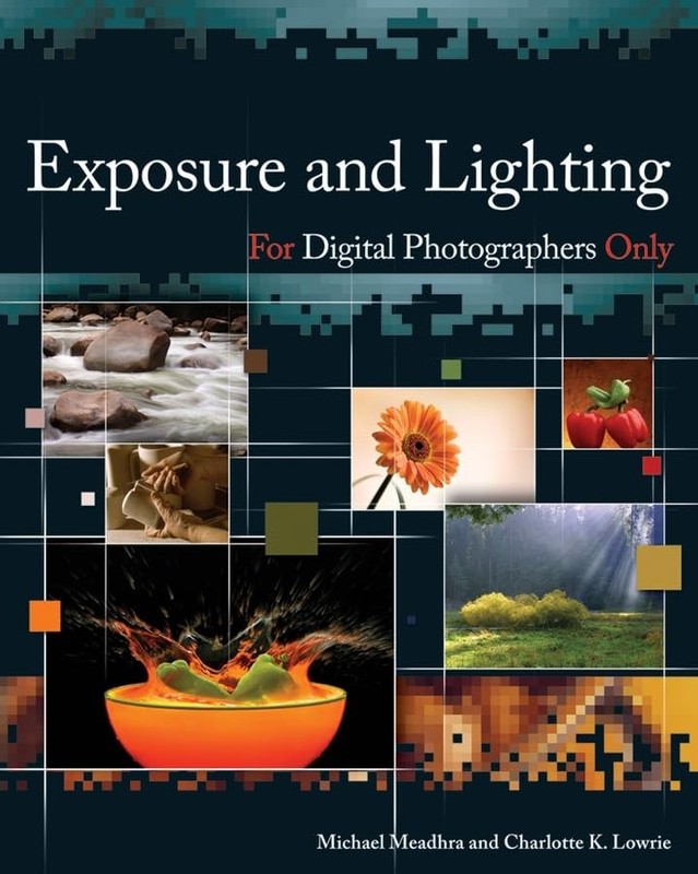 Exposure and Lighting for Digital Photographers Only – paperback Michael Mea…