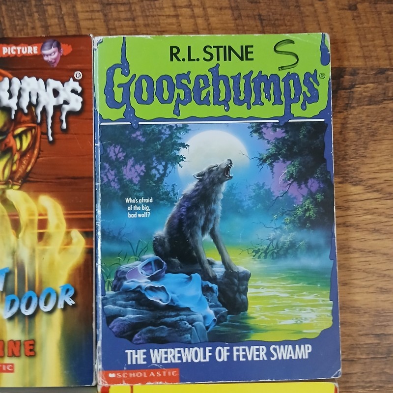 90s/2000’s Lot of 14 Scholastic (4) 1st Printing Goosebumps Books RL Stine gallery