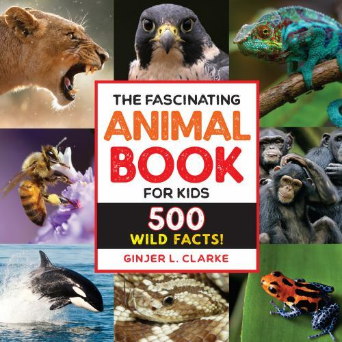 The Fascinating Animal Book for Kids: 5- 9781646111497, paperback, Ginjer Clarke