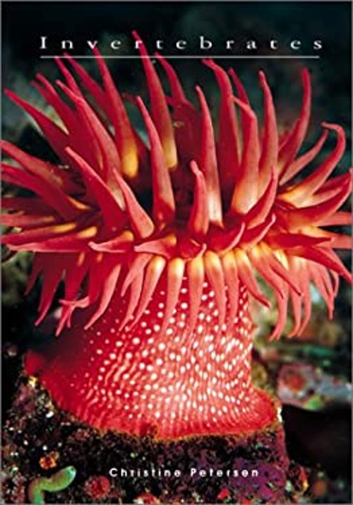 Invertebrates Hardcover Christine Petersen