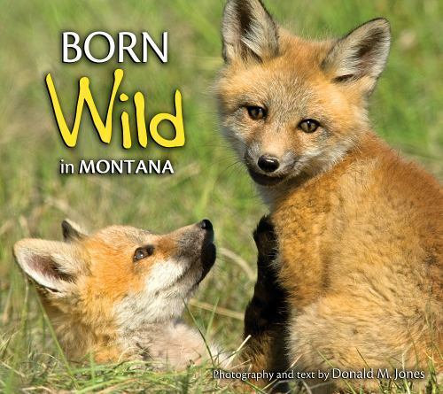Born Wild in Montana by photography by Donald M. Jones