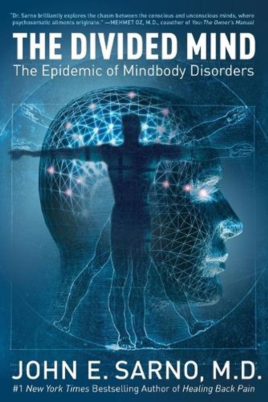 The Divided Mind: The Epidemic of Mindbody Disorders by Dr John E. Sarno (Englis